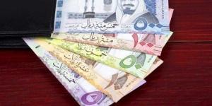 سعر الريال السعودي أمام الجنيه اليوم الثلاثاء - وكالة Mea News