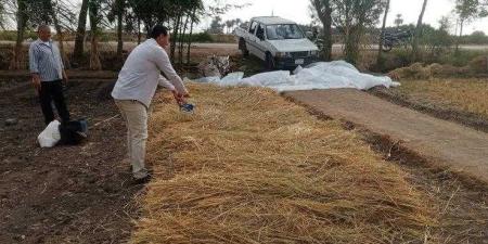 الزراعة تصدر تقرير متابعة منظومة جمع وتدوير قش الأرز - وكالة Mea News